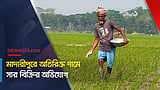 মাদারীপুরে অতিরিক্ত দামে সার বিক্রির অভিযোগ