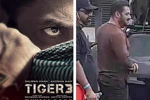 সালমান খানের ফাঁস হওয়া ছবি ভাইরাল