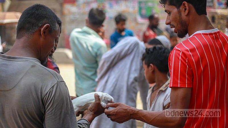 কামরাঙ্গীরচরের সাপ্তাহিক হাটে কবুতর দেখছেন একজন ক্রেতা।