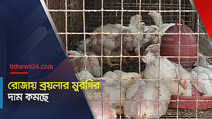 রোজায় ব্রয়লার মুরগির দাম কমছে