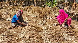 দেশে বেকার কমে এখন ২৬ লাখ