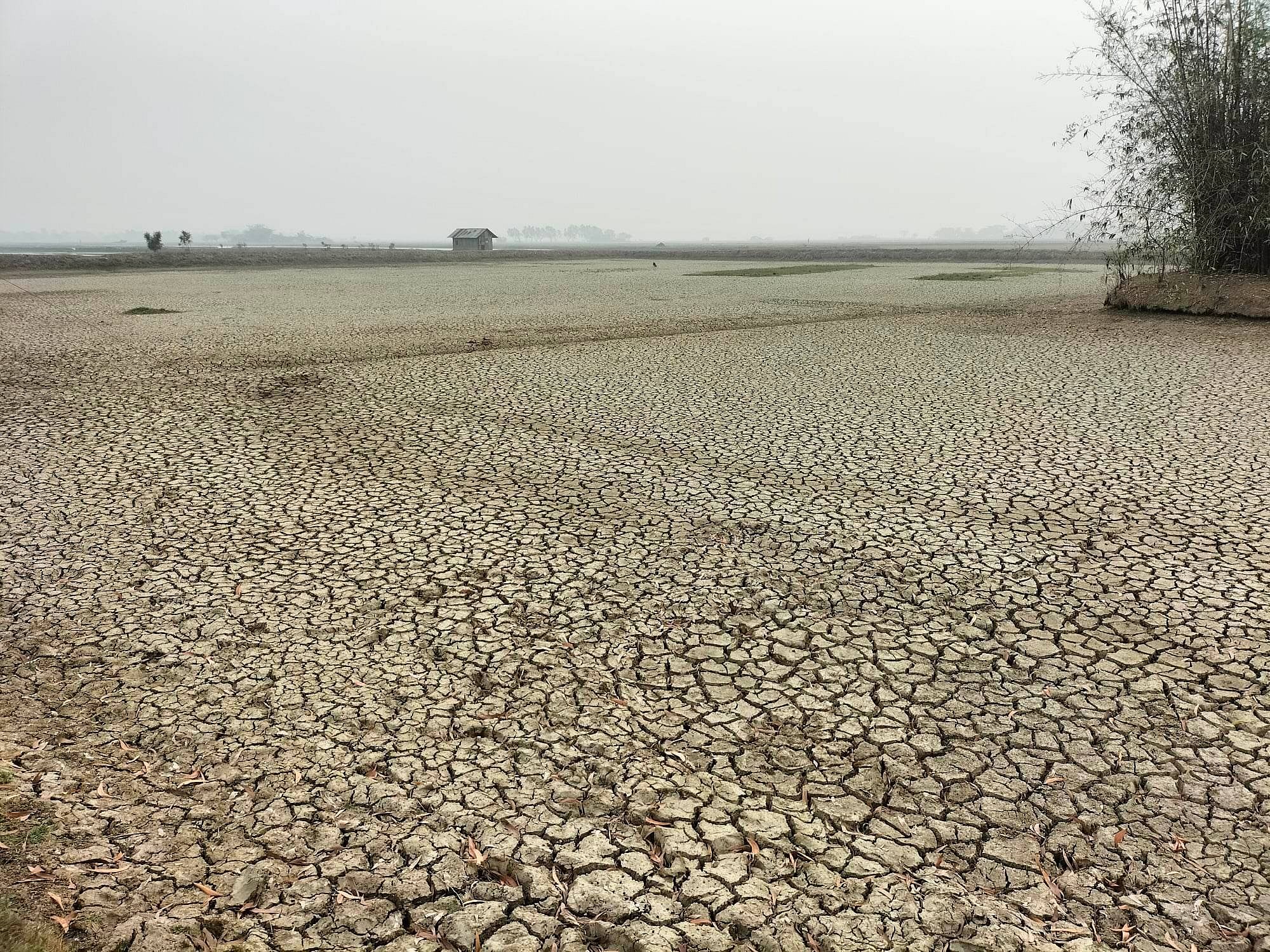 উত্তরে মরুর হাওয়া