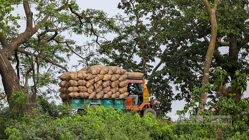 ক্ষেত থেকে আলু তোলার এই মৌসুমে মুন্সীগঞ্জের সিরাজদিখান এলাকার রাস্তার এখন আলুভর্তি ট্রাকই বেশি।&amp;nbsp;ছবি: মাহমুদ জামান অভি