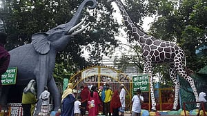বাঘের বদলে জলহস্তী পাচ্ছে চট্টগ্রাম চিড়িয়াখানা