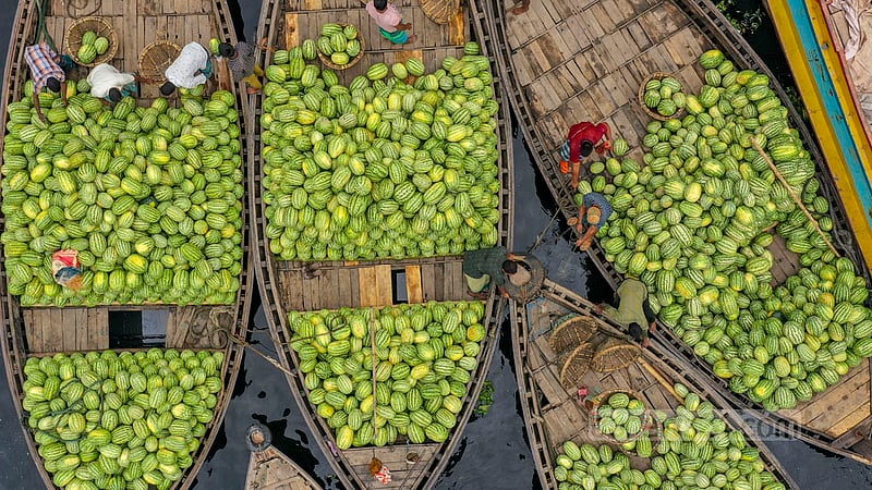 নৌকা বোঝাই এসব তরমজু এসেছে পটুয়াখালীর রাঙ্গাবালী, ভোলার বোরহানউদ্দীনসহ দক্ষিণাঞ্চলের বিভিন্ন এলাকা থেকে।&amp;nbsp;ছবি: মোস্তাফিজুর রহমান