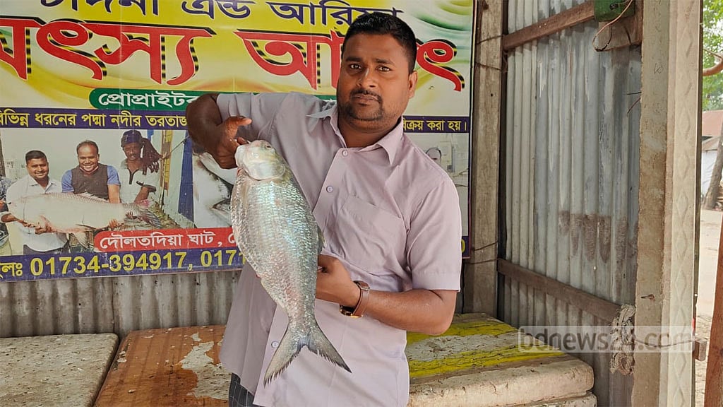 রাজবাড়ীতে একটি ইলিশ বিক্রি ৬ হাজার টাকায়