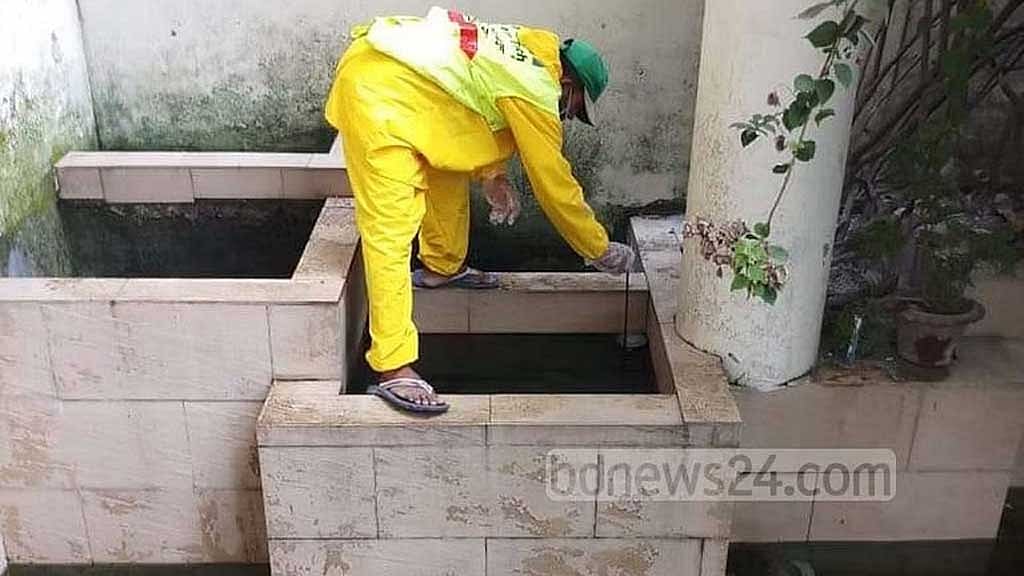ঢাকার ৪ শতাংশের বেশি বাড়িতে এইডিস মশা: জরিপ
