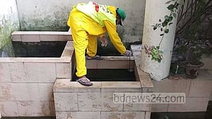 ঢাকার ৪ শতাংশের বেশি বাড়িতে এইডিস মশা: জরিপ