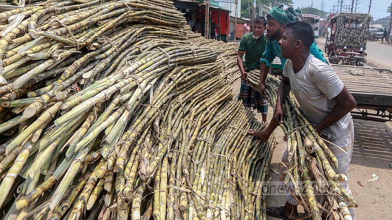 ঢাকার সিকশন বেড়িবাঁধ এলাকায় শরবত বানানোর আখ সাজিয়ে রাখছেন দোকানিরা।&amp;nbsp;ছবি: তাওহীদুজ্জামান তপু