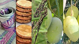 জিআই সনদ পেতে যাচ্ছে আরও ৫ পণ্য