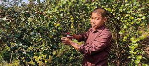 পাহাড়ে  ফল ফলালো সুশান্ত