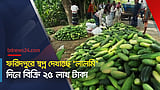 ফরিদপুরে স্বপ্ন দেখাচ্ছে ‘লালমি’, দিনে বিক্রি ২৫ লাখ টাকা