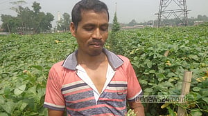 আগাম জাতের বরবটি চাষে সফল শেরপুরের কৃষক