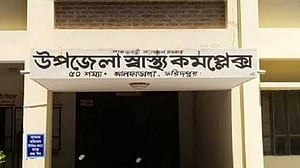 ফরিদপুরে কালবৈশাখী ঝড়ে ডাল ভেঙে প্রাণ গেল কিশোরের