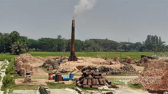 লক্ষ্মীপুরে ফসলি জমির ইট ভাটায় পুড়ছে কৃষকের স্বপ্ন