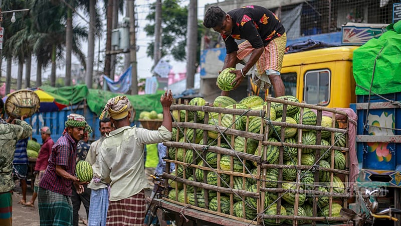 পুরান ঢাকার ওয়াইজঘাটে আড়ত থেকে তরমুজ কিনে খুচরা বিক্রির জন্য ভ্যানে করে নিয়ে যাওয়া হচ্ছে।&amp;nbsp;ছবি: তাওহীদুজ্জামান তপু