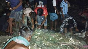 চাঁদপুরে জাটকা ধরায় ৬০ জেলে আটক, ৪৪ জনের কারাদণ্ড