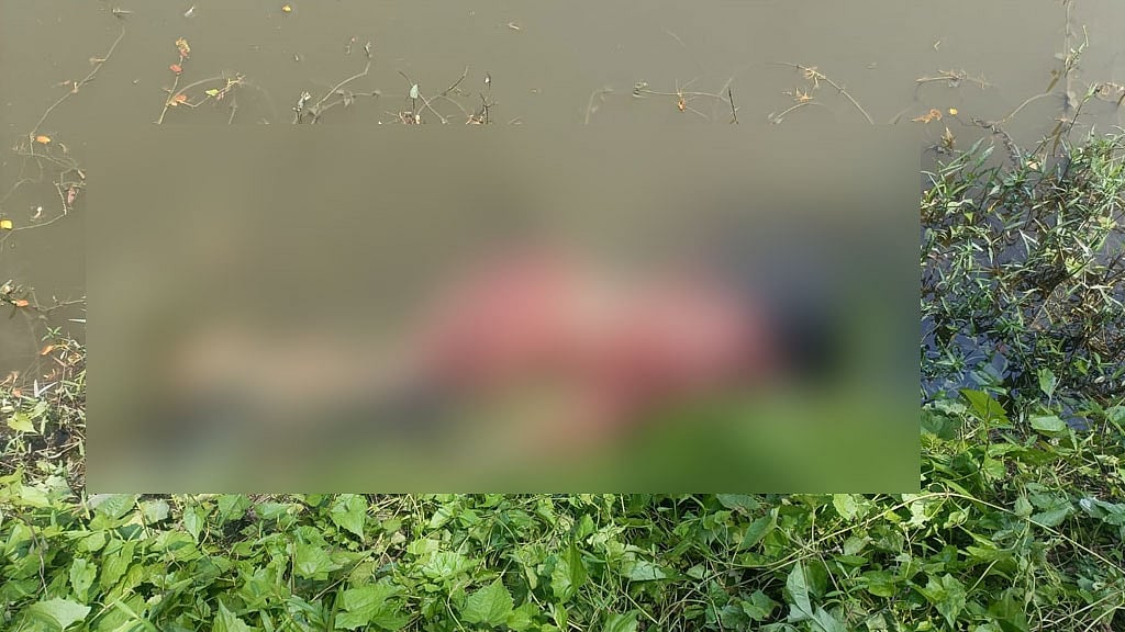 বরিশালে নিখোঁজ নারীর লাশ মিলল মাছের ঘেরে