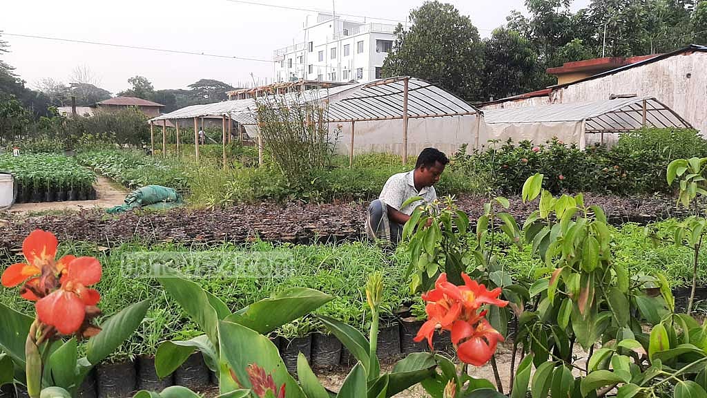 পড়াশোনা ছেড়ে নার্সারিতে কাজ, ৩ নার্সারির মালিক হয়ে বাপন এখন ‘অনুপ্রেরণা’