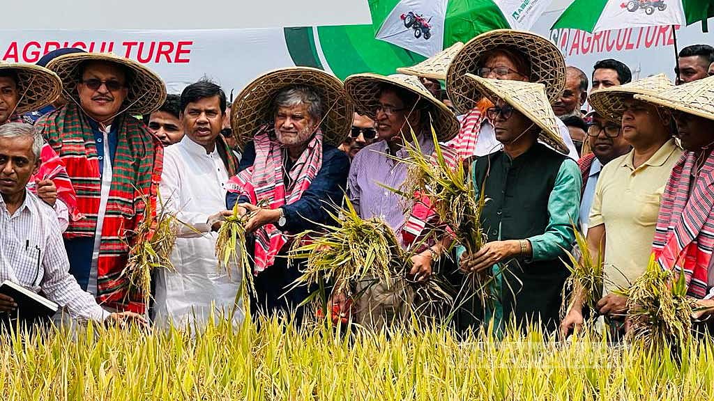 হাওরে ধান কাটায় তিন মন্ত্রী, ২৩ এপ্রিল ‘ঢলের’ শঙ্কা