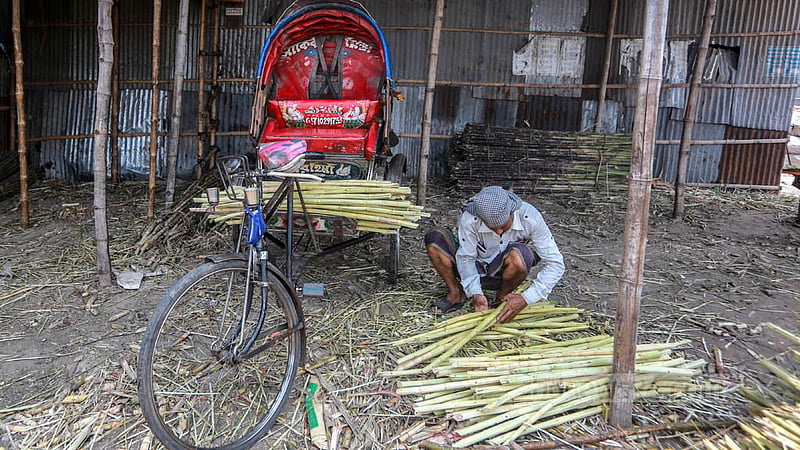 ঢাকার রায়েরবাজার বেড়িবাঁধ এলাকায় শরবত বানানোর জন্য প্রস্তুত করা আখ তোলা হচ্ছে রিকশায়, যাবে মোহাম্মাদপুর।&amp;nbsp;ছবি: তাওহীদুজ্জামান তপু