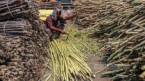 নোংরা পরিবেশে শরবতের আখ