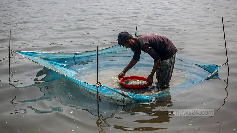 ঢাকার বুড়িগঙ্গা নদীর পানিতে পরিষ্কার করা হচ্ছে প্লাস্টিক কুচি।&amp;nbsp;ছবি: তাওহীদুজ্জামান তপু