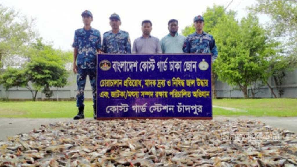 মেঘনায় জব্দ ‘৩০ মণ’ পাঙ্গাসের পোনা গেল এতিমখানায়