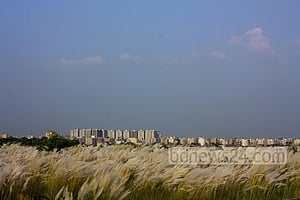 ‘দাও ফিরে সে অরণ্য’