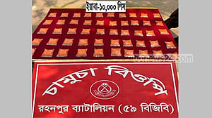 চাঁপাইনবাবগঞ্জ সীমান্তে ১০ হাজার ইয়াবা উদ্ধার