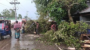 মুন্সীগঞ্জে ঝড়ে ঘরবাড়ি বিধ্বস্ত