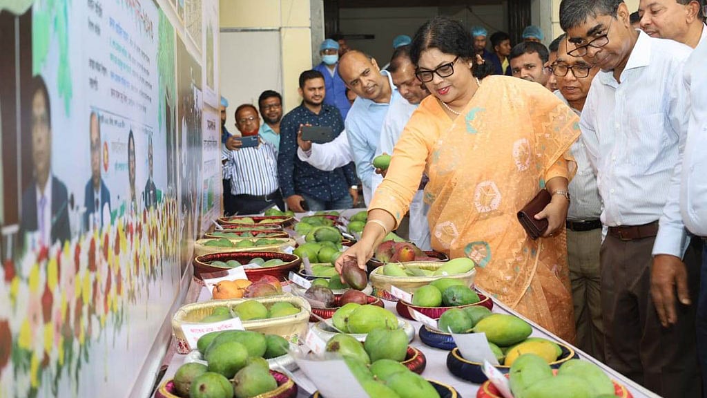 ইউরোপের ৪ দেশে পাঠানোর মাধ্যমে আম রপ্তানি শুরু