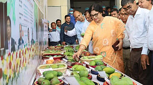ইউরোপের ৪ দেশে পাঠানোর মাধ্যমে আম রপ্তানি শুরু