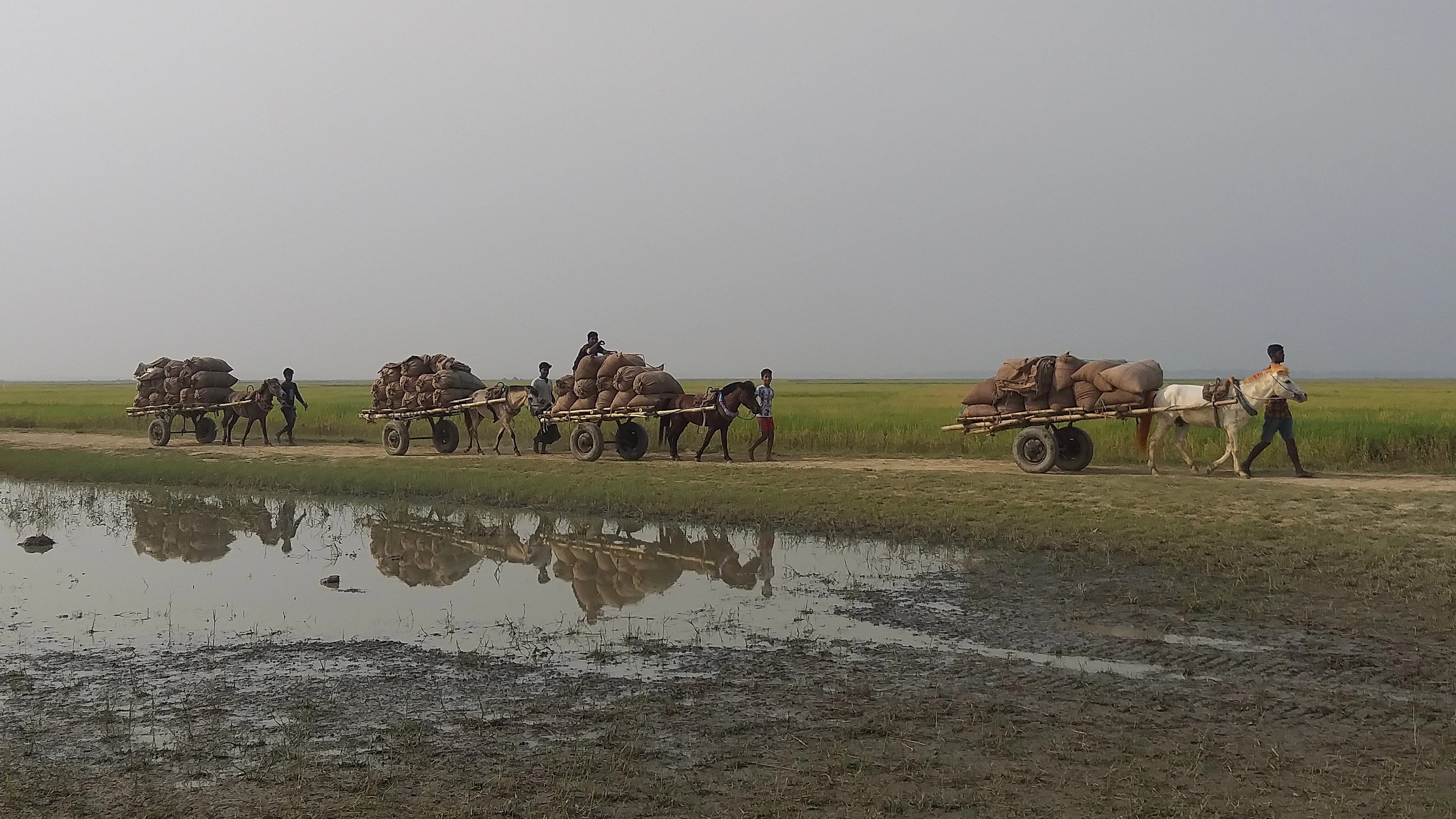 প্রয়োজনে ধান সংগ্রহের লক্ষ্যমাত্রা বাড়বে: খাদ্যমন্ত্রী