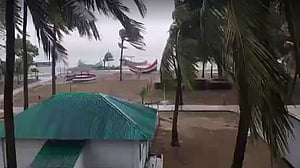 সেন্ট মার্টিনে গাছ চাপায় নারী আহত