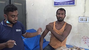 ঝিনাইদহে কুকুরের কামড়ে শিশুসহ ১৪ জন আহত
