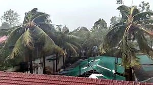 সেন্ট মার্টিনে প্রচণ্ড বাতাস-বৃষ্টি, ভাঙছে গাছপালা