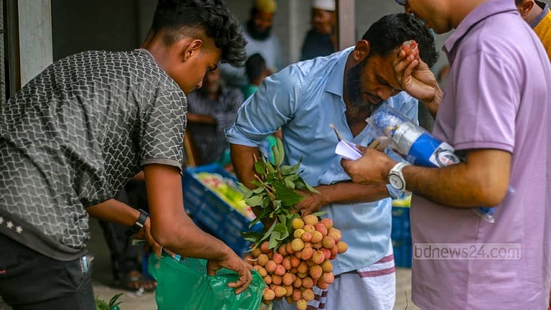 ঢাকার বাদামতলী পাইকারি ফলের বাজারে ১০০ লিচু বিক্রি হচ্ছে ৩০০ টাকা দরে।&amp;nbsp;ছবি: তাওহীদুজ্জামান তপু