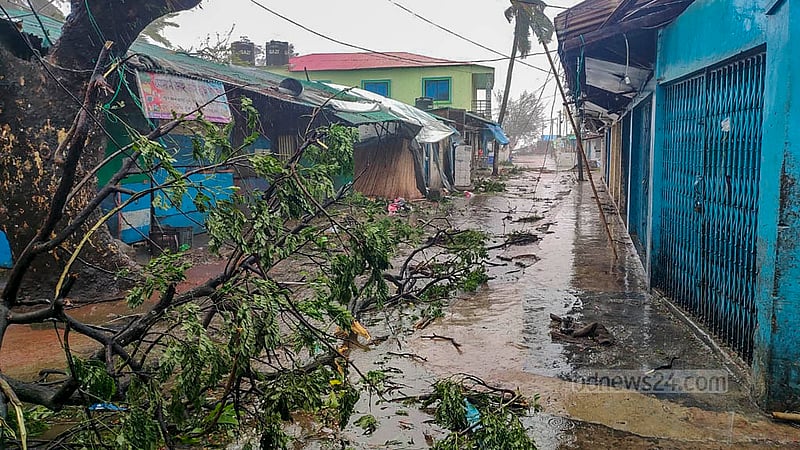 ঘূর্ণিঝড় মোখার আঘাতে সেন্ট মার্টিন দ্বীপে ভেঙে পড়েছে বহু গাছ।