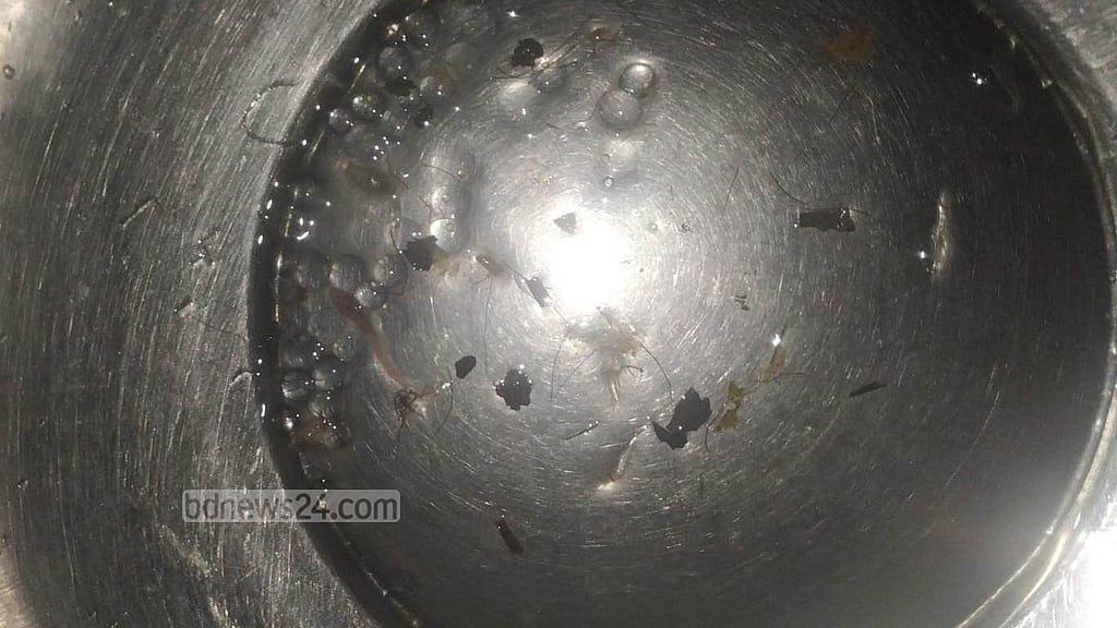 হালদায় ‘নমুনা ডিম’ ছেড়েছে মা মাছ