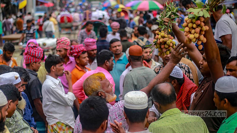 ঢাকার বাদামতলী পাইকারি ফলের বাজারে নিলামে বিক্রি হচ্ছে মৌসুমি ফল লিচু।&amp;nbsp;ছবি: তাওহীদুজ্জামান তপু