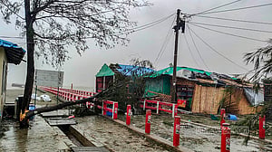 বড় ঝড়ে তুলনামূলক কম ক্ষতি
