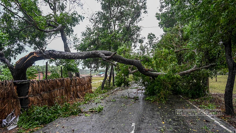 ঘূর্ণিঝড় মোখার আঘাতে টেকনাফের শাহপরীর দ্বীপে বহু গাছ ভেঙে পড়ে।