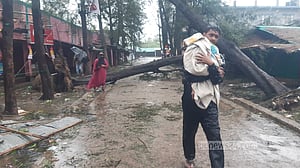 শাহ পরীর দ্বীপে গাছ উপড়ে বাড়িঘরে, ব্যাপক ক্ষয়ক্ষতি