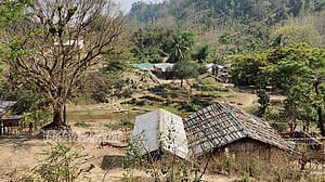 লামায় ম্রোদের ‘জিম্মি’ করে ‘পাড়াবন’ উজাড়ের অভিযোগ