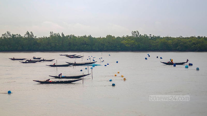 খুলনার দাকোপ উপজেলার সুতারখালী নদীতে সুন্দরবন ঘেঁসে নৌকায় করে গলদা বা বাগদার রেণু সংগ্রহ করছেন জেলেরা।&amp;nbsp;ছবি: তাওহীদুজ্জামান তপু