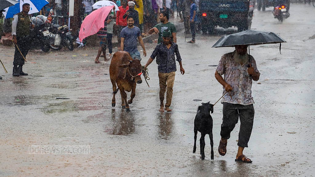 ঢাকার কোরবানির হাটে শেষ বেলায় উল্টো চিত্র