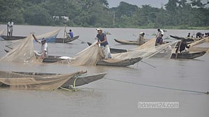 দিনভর প্রতীক্ষার পর রাতে হালদায় ডিম ছাড়ল মা মাছ