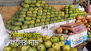 ভরা মৌসুমেও ফলের দাম ’চড়া’