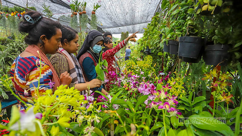 ঢাকার শের-ই-বাংলা নগরে শনিবার জাতীয় বৃক্ষ মেলার একটি স্টল ঘুরে দেখছেন দর্শনার্থীরা। ছবি: আসিফ মাহমুদ অভি